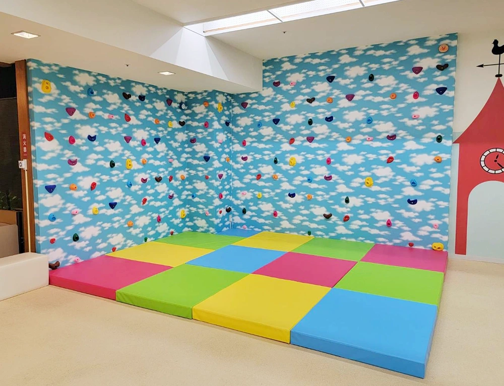 千葉県木更津市 ボルダリング 設置実績